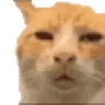 HUHHING emote
