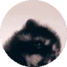 pedropedro emote
