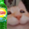 Lipton emote