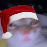 suh emote