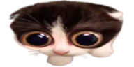 MONKA emote