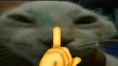 shdd emote