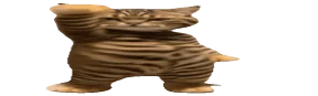 wideCat emote