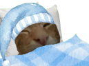 ronalduh emote