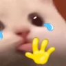 Blyee emote