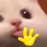 hi emote