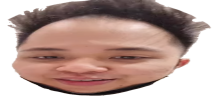 wideKarqHead emote
