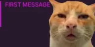 FirstTimeHUH emote