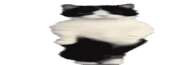 widetime3 emote