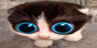 MONKADUNE emote