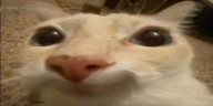 otagSmile emote