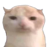 chubbyEat emote