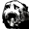 poroAgony emote