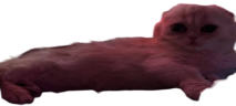 Leju emote