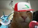 buhemon emote
