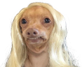 Hacreature emote