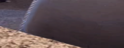 neya emote