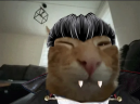 buhpir emote