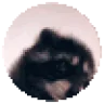 PedroPedroPedro emote