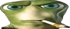 wideTa emote