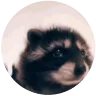 pedro emote