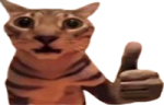 okak emote