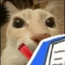 NOTED emote