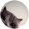 PEDRO emote