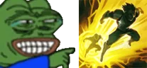 NiceFlashBro emote