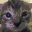DanLink