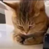youmeanie emote