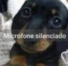 microfonesilenciado emote