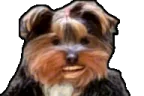 bbOOOO emote