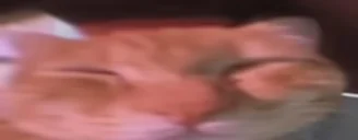 seventv_01HXCTYS8G000FSHB6K53J9CW5
