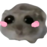 ohShy emote