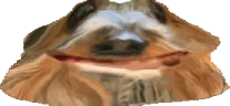 ABBOBA emote