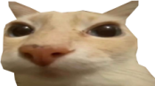 otag emote