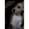scared emote