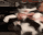 catTHAT