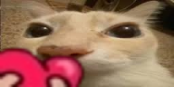 otagL emote