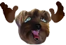 bbNOOOO