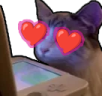 LoveWatching emote