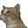 catD