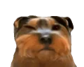 bbuh emote