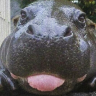 :bb emote