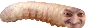 pradLichinka emote
