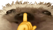 shddFake emote