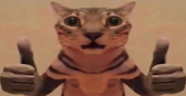 kakokak emote