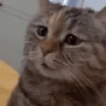 mau emote