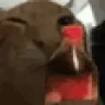 buhshake emote